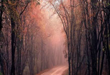 强力反击破敌突围，球队士气高涨信心百倍