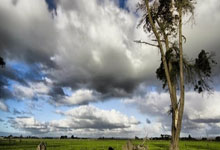 猛龙告捷雄鹿，三连胜领跑东部：新的胜利篇章