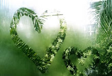 沙尔克04客场力克对手，摆脱连败