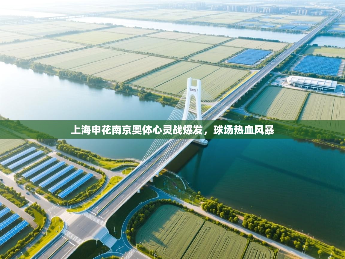 上海申花南京奥体心灵战爆发，球场热血风暴